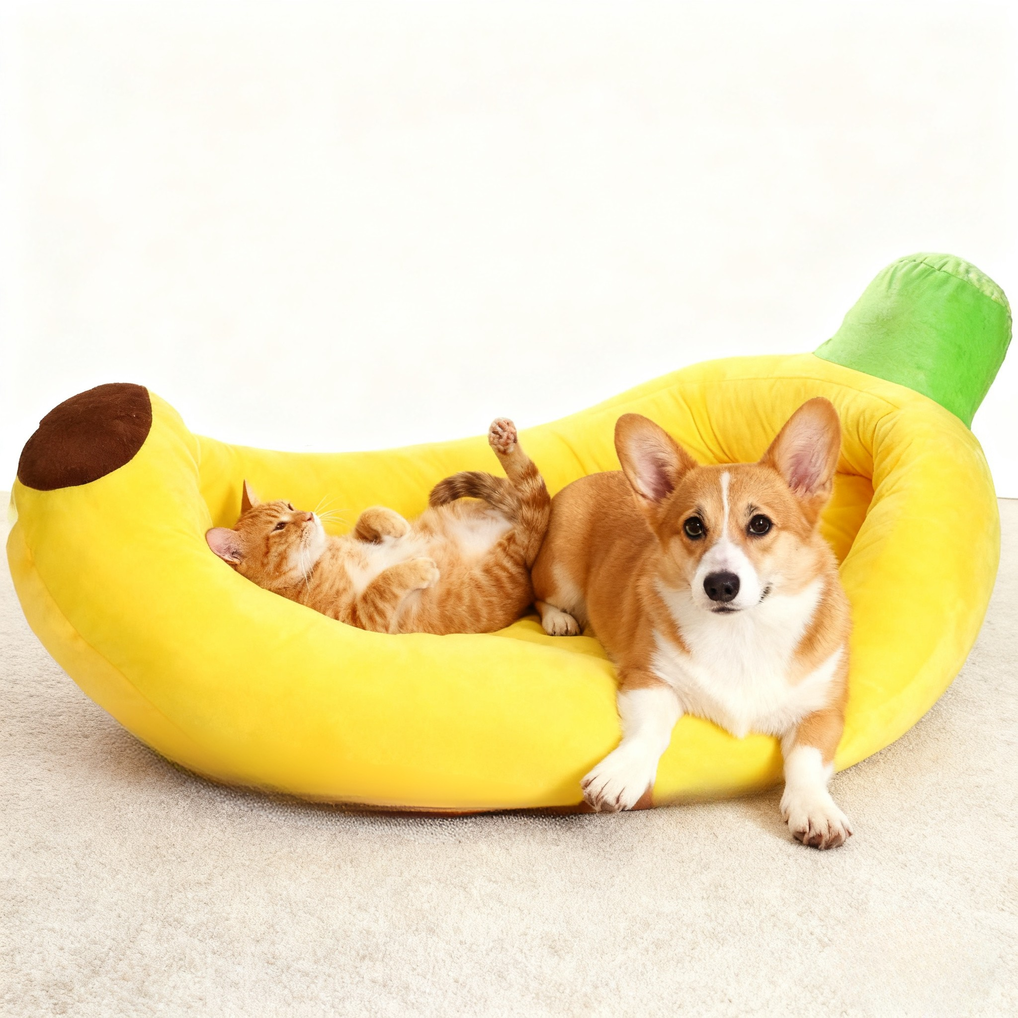 A single monstera leaf in a clear glass vase against a white background.