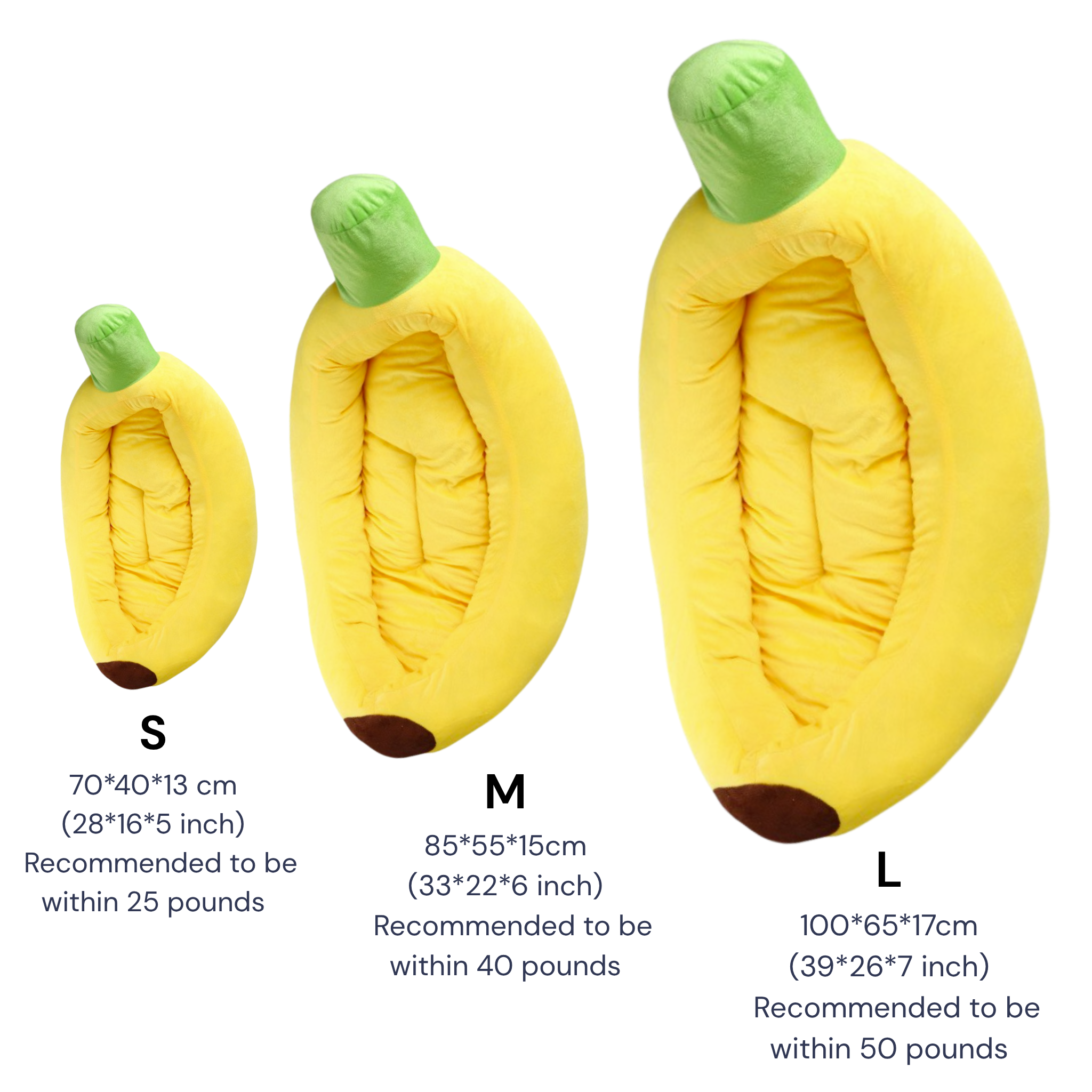 A single palm leaf in a clear glass of water on a white background.