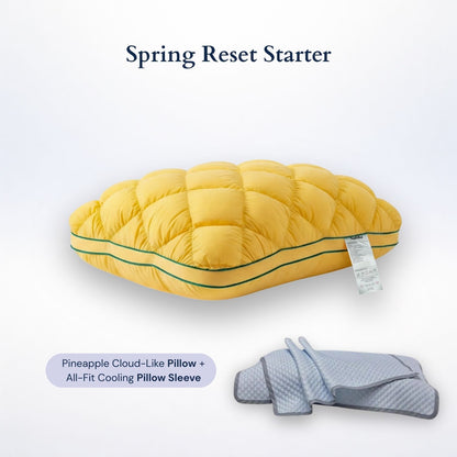 Spring Reset Starter