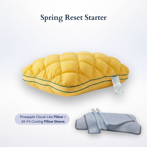 Spring Reset Starter