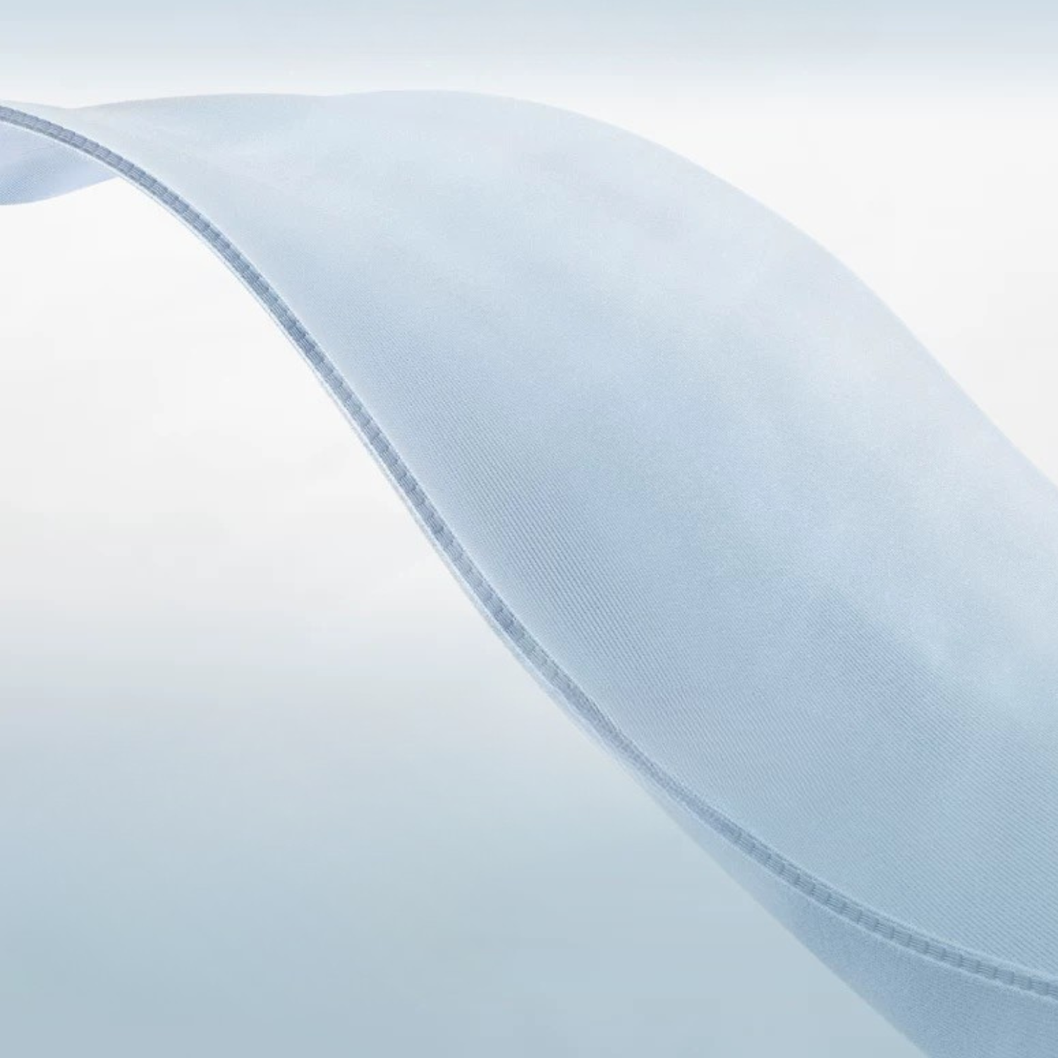 A single palm leaf in a clear glass of water on a white background.