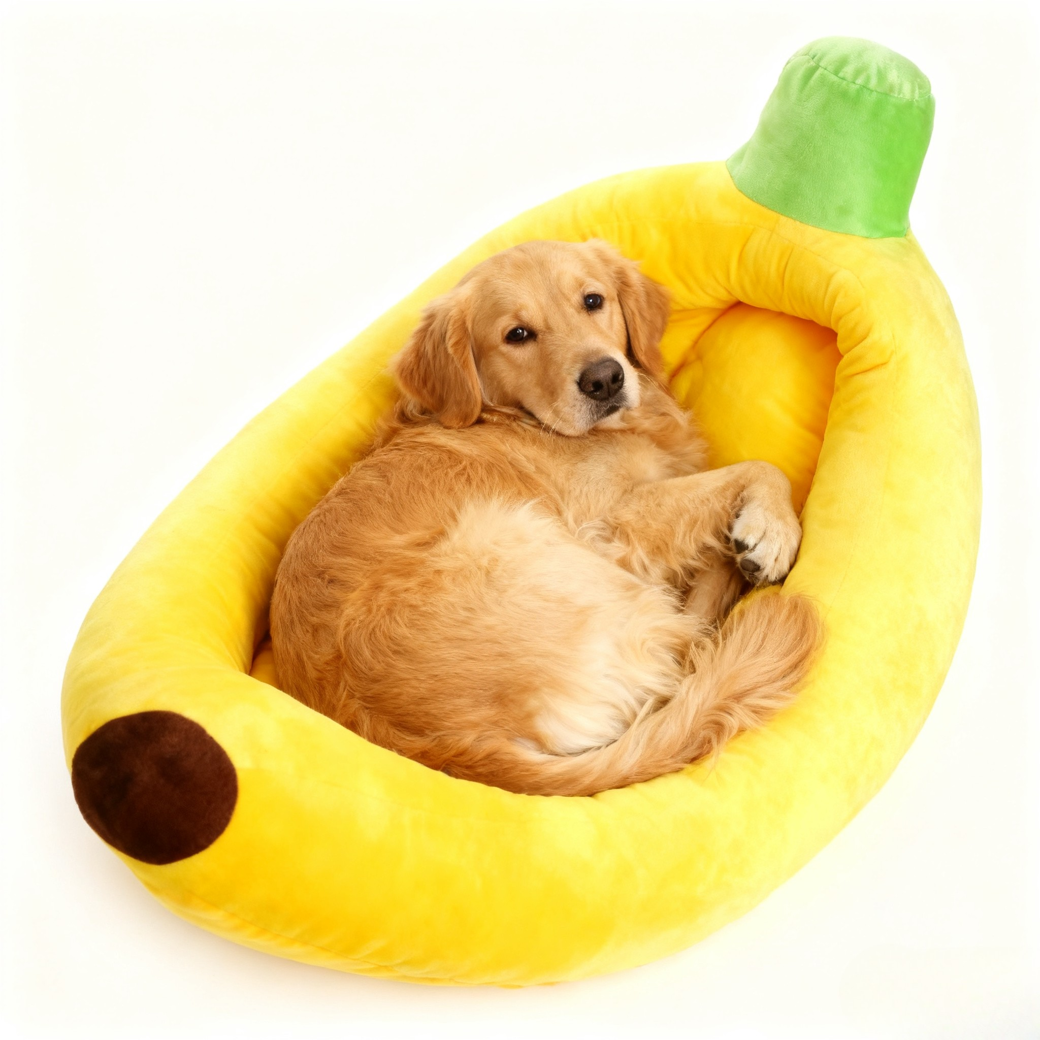 Green palm leaf beside blank white cards on a plain background.