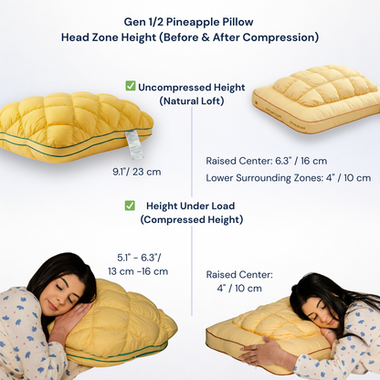 Spring Reset Starter